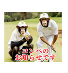 チンパのゴルファー  【毎日使える】（個別スタンプ：30）