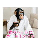 チンパのゴルファー  【毎日使える】（個別スタンプ：38）