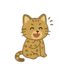✧˖° かわいいネコ♪チートー ˖°✧（個別スタンプ：1）
