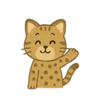 ✧˖° かわいいネコ♪チートー ˖°✧（個別スタンプ：3）