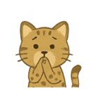 ✧˖° かわいいネコ♪チートー ˖°✧（個別スタンプ：6）