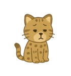 ✧˖° かわいいネコ♪チートー ˖°✧（個別スタンプ：7）