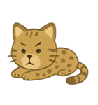 ✧˖° かわいいネコ♪チートー ˖°✧（個別スタンプ：8）