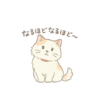 黒猫ビビと甘えんぼーノギの日常スタンプ（個別スタンプ：12）