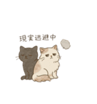 黒猫ビビと甘えんぼーノギの日常スタンプ（個別スタンプ：13）