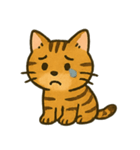 ✧˖° かわいいネコ♪トイガー ˖°✧（個別スタンプ：5）