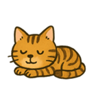 ✧˖° かわいいネコ♪トイガー ˖°✧（個別スタンプ：8）