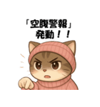 ピンクの帽子の可愛い子猫（個別スタンプ：11）