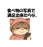 ピンクの帽子の可愛い子猫（個別スタンプ：12）