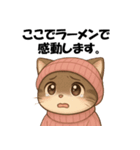 ピンクの帽子の可愛い子猫（個別スタンプ：31）