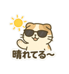 てんきのスコにゃん（個別スタンプ：1）