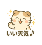 てんきのスコにゃん（個別スタンプ：3）