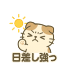 てんきのスコにゃん（個別スタンプ：4）