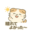 てんきのスコにゃん（個別スタンプ：5）