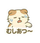 てんきのスコにゃん（個別スタンプ：7）