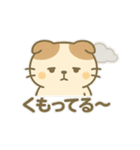てんきのスコにゃん（個別スタンプ：9）