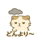 てんきのスコにゃん（個別スタンプ：10）
