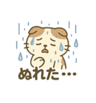 てんきのスコにゃん（個別スタンプ：12）