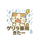 てんきのスコにゃん（個別スタンプ：13）