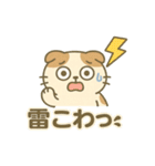 てんきのスコにゃん（個別スタンプ：15）