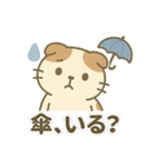 てんきのスコにゃん（個別スタンプ：16）