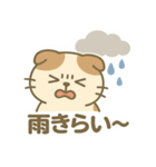 てんきのスコにゃん（個別スタンプ：17）