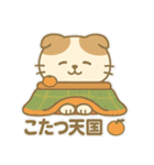 てんきのスコにゃん（個別スタンプ：20）