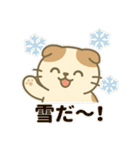 てんきのスコにゃん（個別スタンプ：21）