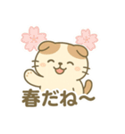 てんきのスコにゃん（個別スタンプ：22）