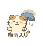 てんきのスコにゃん（個別スタンプ：23）