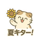 てんきのスコにゃん（個別スタンプ：24）
