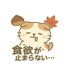 てんきのスコにゃん（個別スタンプ：25）