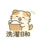 てんきのスコにゃん（個別スタンプ：28）