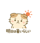 てんきのスコにゃん（個別スタンプ：31）