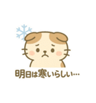 てんきのスコにゃん（個別スタンプ：32）