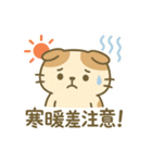 てんきのスコにゃん（個別スタンプ：33）