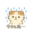 てんきのスコにゃん（個別スタンプ：34）