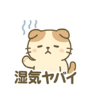 てんきのスコにゃん（個別スタンプ：35）