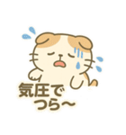 てんきのスコにゃん（個別スタンプ：37）