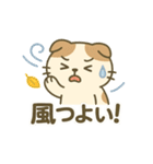 てんきのスコにゃん（個別スタンプ：38）