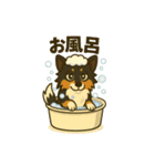 シェルティー日常的によく使うスタンプ1（個別スタンプ：6）