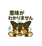 シェルティー日常的によく使うスタンプ1（個別スタンプ：9）