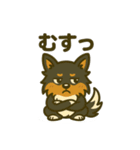 シェルティー日常的によく使うスタンプ1（個別スタンプ：10）