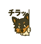 シェルティー日常的によく使うスタンプ1（個別スタンプ：16）