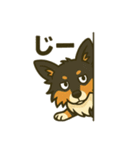 シェルティー日常的によく使うスタンプ1（個別スタンプ：22）