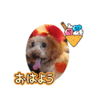 ange⑭（個別スタンプ：6）