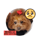 ange⑭（個別スタンプ：17）