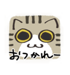 猫の顔だけスタンプ きじしろ（個別スタンプ：2）