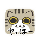 猫の顔だけスタンプ きじしろ（個別スタンプ：3）