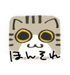 猫の顔だけスタンプ きじしろ（個別スタンプ：5）